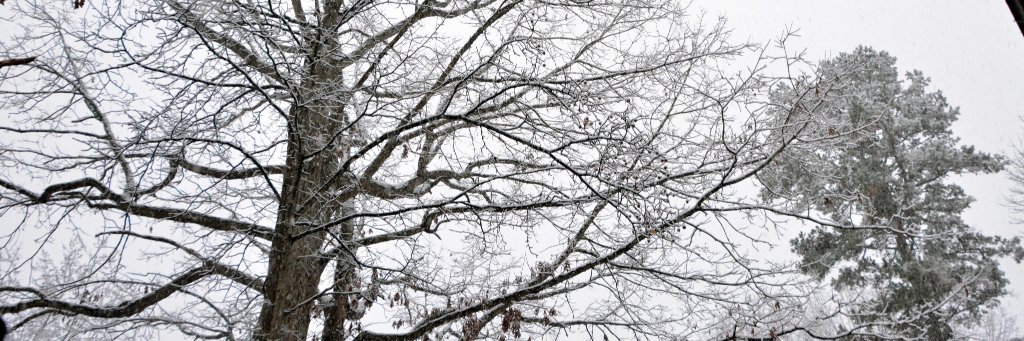 GavelPro's profile banner image