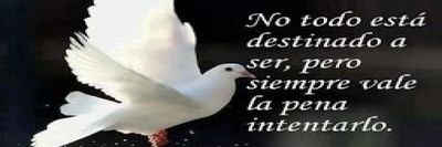 @julian_gonzalez banner