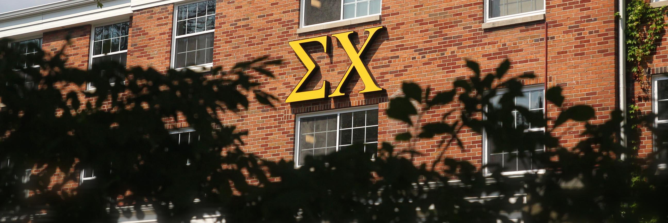 MSU ΣΧ banner