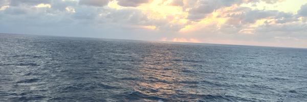 debbhoffman Profile Banner