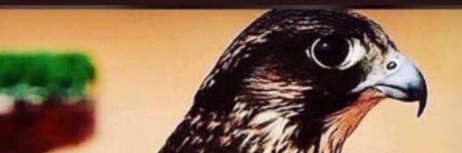 khaled3390's profile banner image