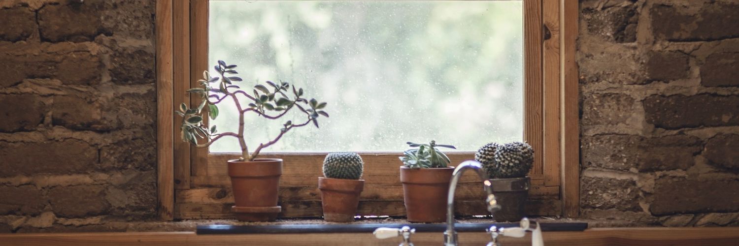 AgathasFelix's profile banner image