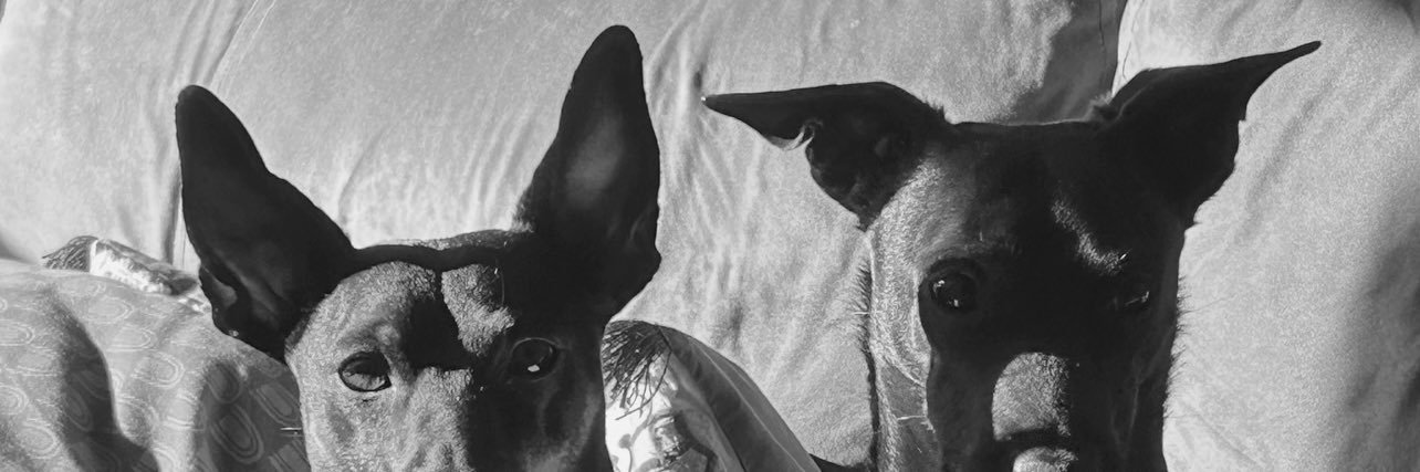 POrueta's profile banner image