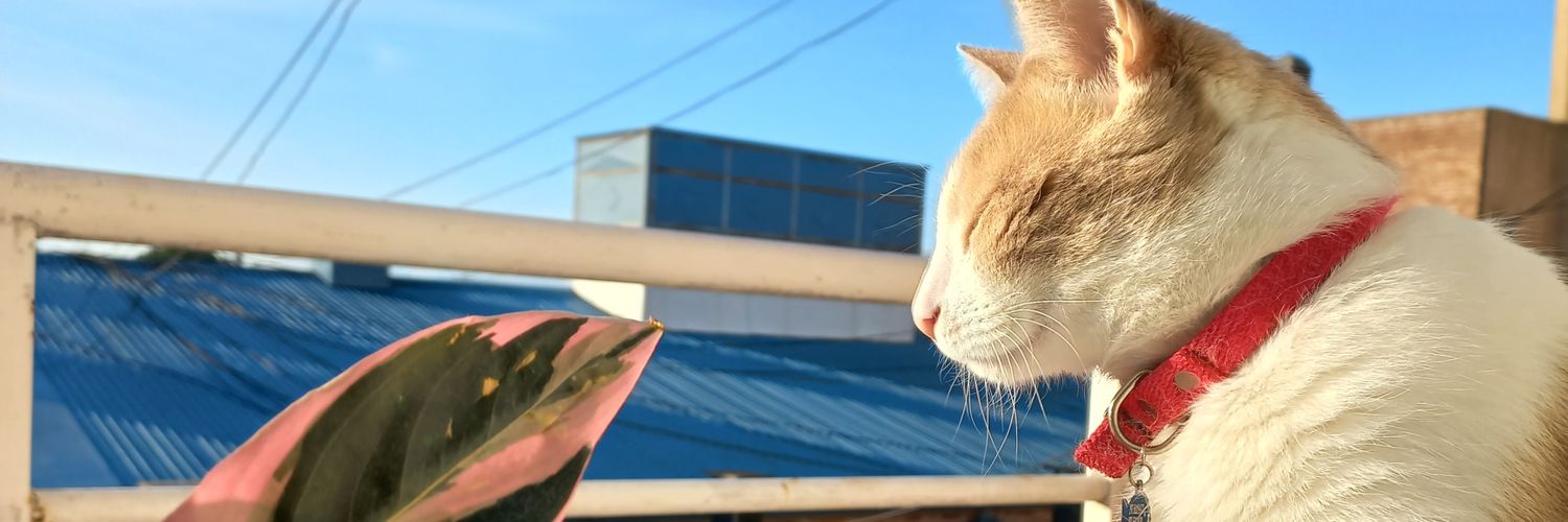 MaaaiteM's profile banner image