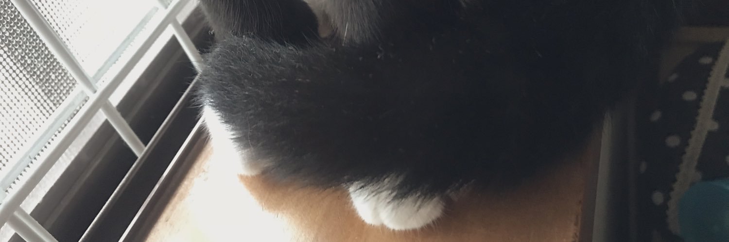 ゆゆ banner