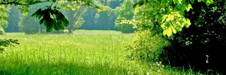 Cristina Gómez Rebollo banner