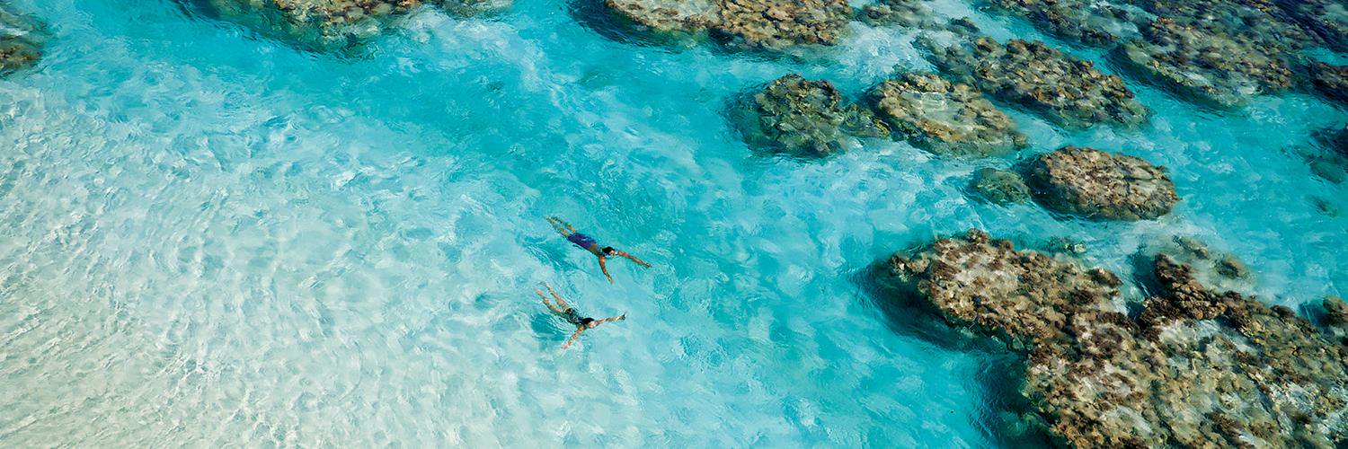 Beachcomber_fr's profile banner image