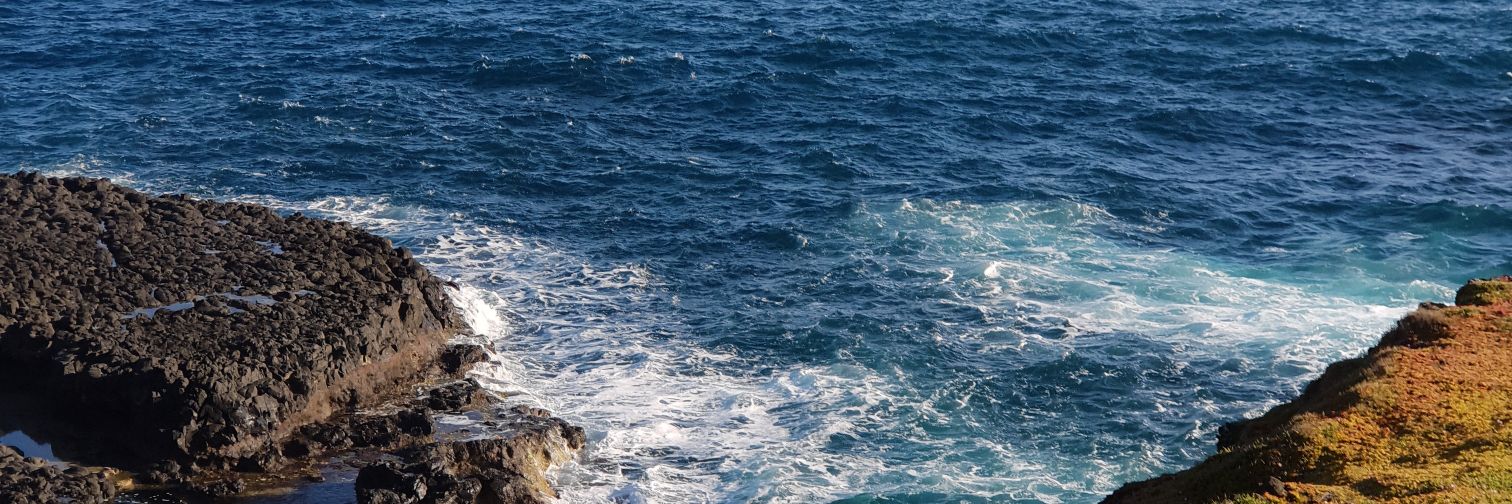 AndrewMusonza's profile banner image
