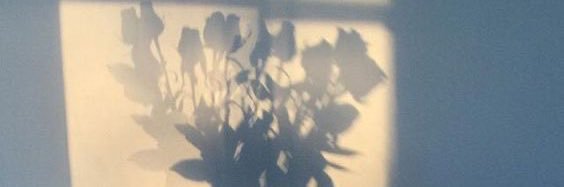 mill_Ok_'s profile banner image