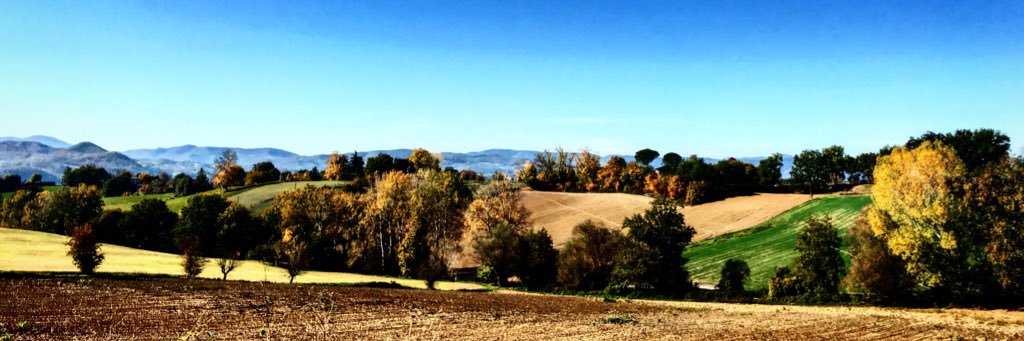 MatiPerruccio's profile banner image