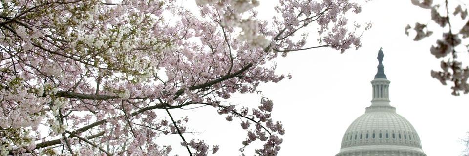 Libia Duran banner