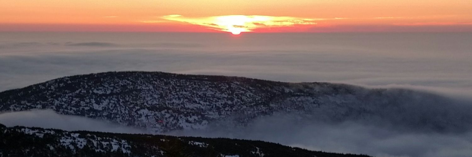 simonedgett's profile banner image