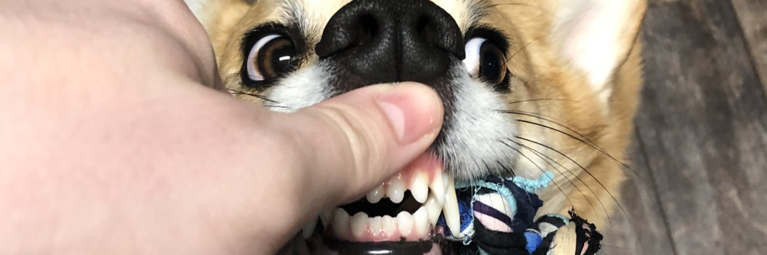 AncientAnarchy's profile banner image