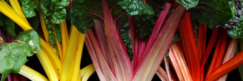 IeatLocal banner