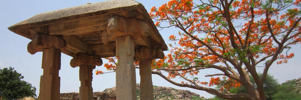 sudiptadev5 Profile Banner