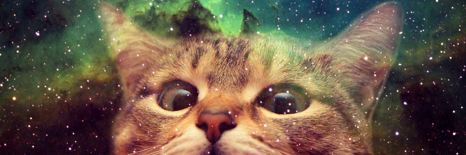 _lottte's profile banner image
