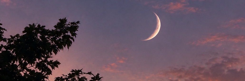 reneedanielle86's profile banner image