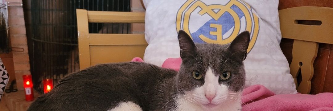 Merx_12's profile banner image