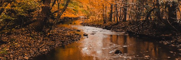 brianadayle Profile Banner