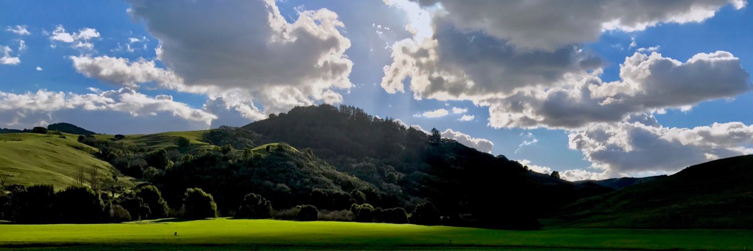 singletonali's profile banner image