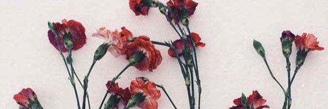 SamCooper_x's profile banner image