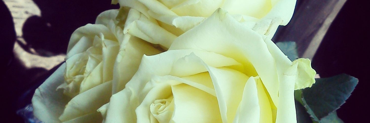 taaaanya_S's profile banner image