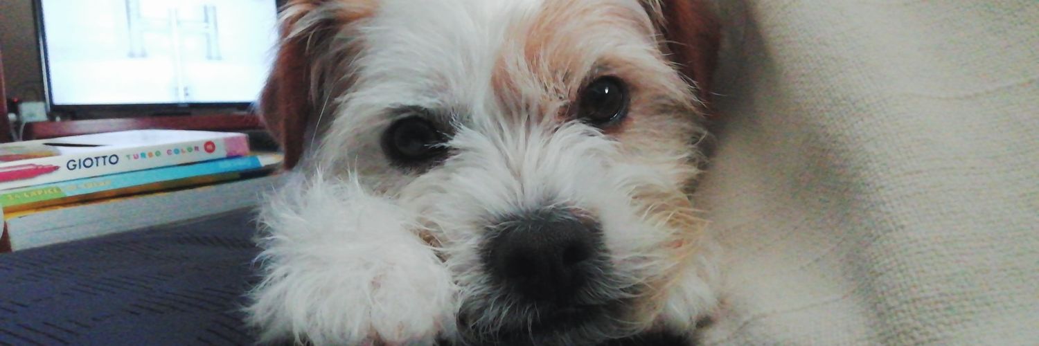 mariaimpx's profile banner image