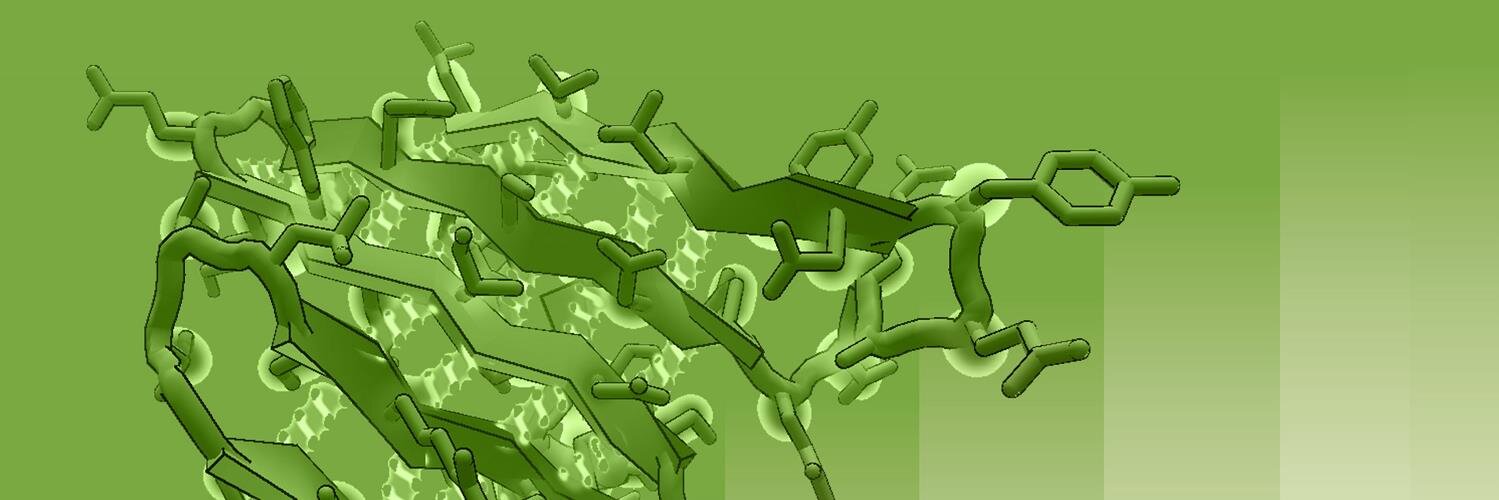 Foldit banner