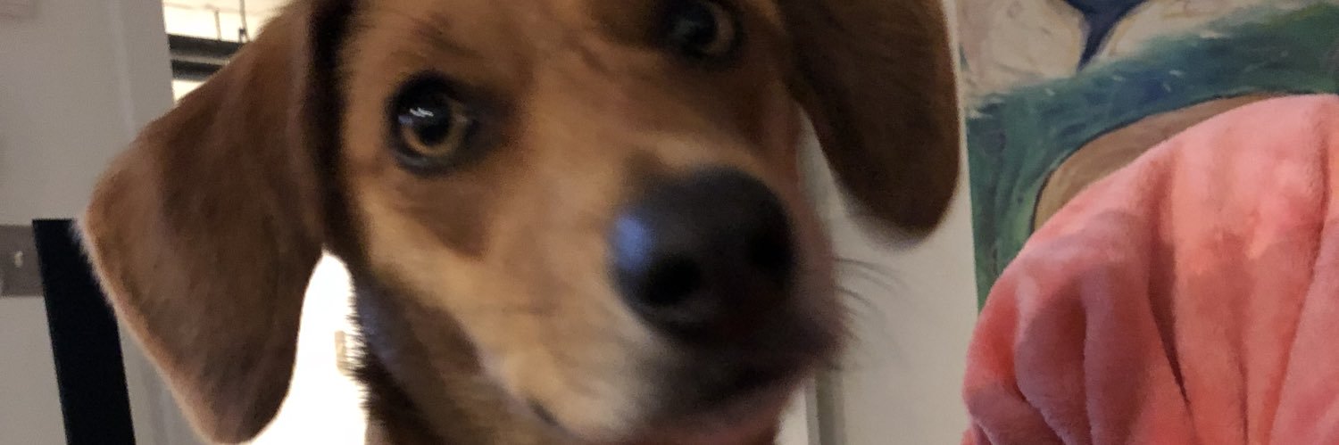 jdonahue2001's profile banner image