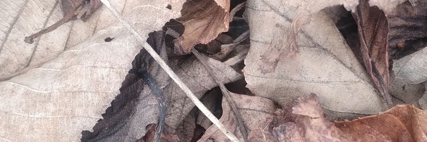 inkeyss's profile banner image