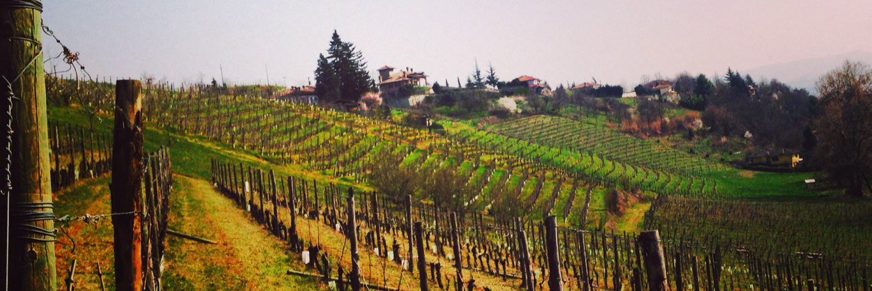 labarbatella's profile banner image