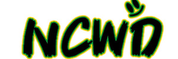 arsta_ally Profile Banner