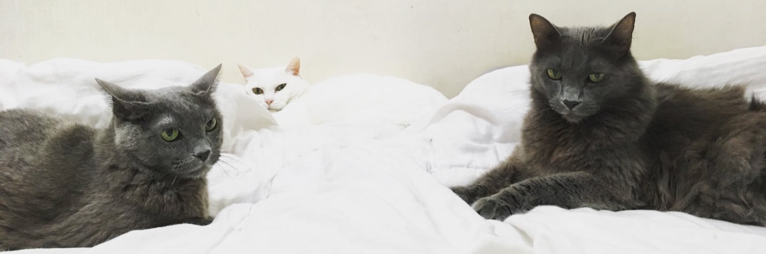 ㅎㅅㅎ🏳️‍🌈 banner