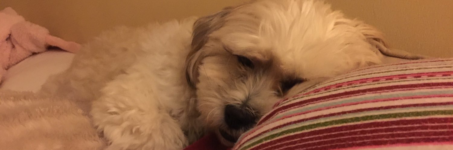 Jillyoldbean's profile banner image