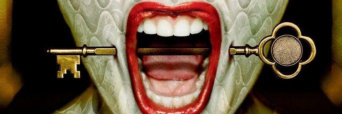 ShevchuKatiaaaa's profile banner image