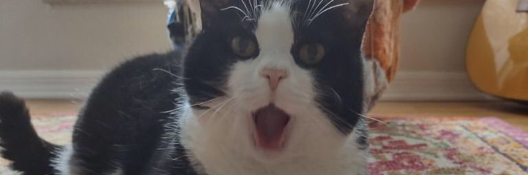 Nick_Way7's profile banner image
