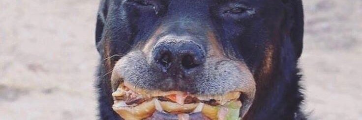 j_t_p_'s profile banner image