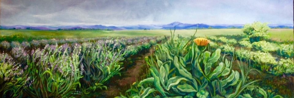 COAromatics's profile banner image