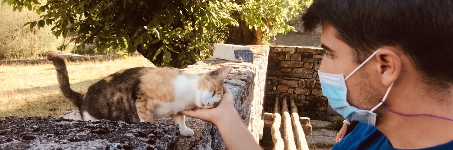 portu pai banner