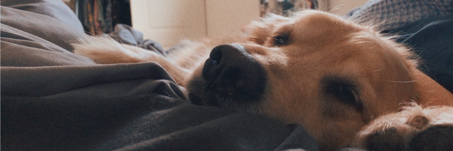 MichaellaBrooke's profile banner image