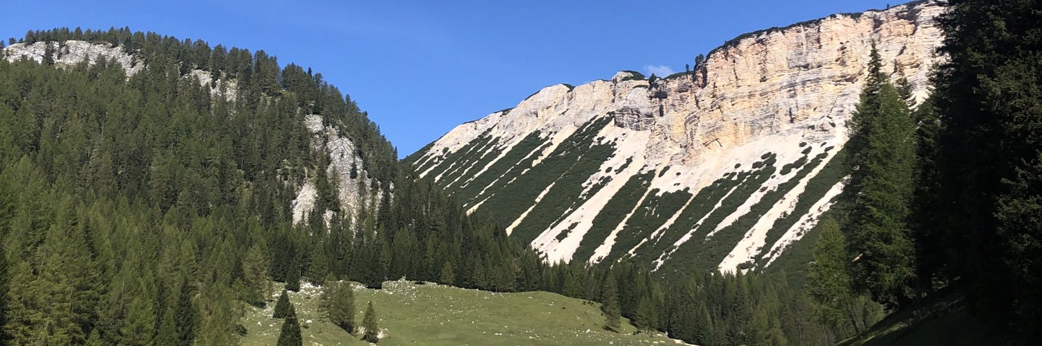 DrMaxMarchi's profile banner image