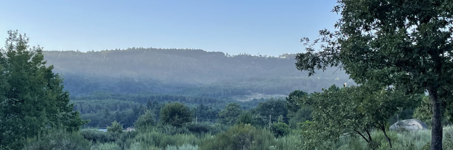 weezergata's profile banner image