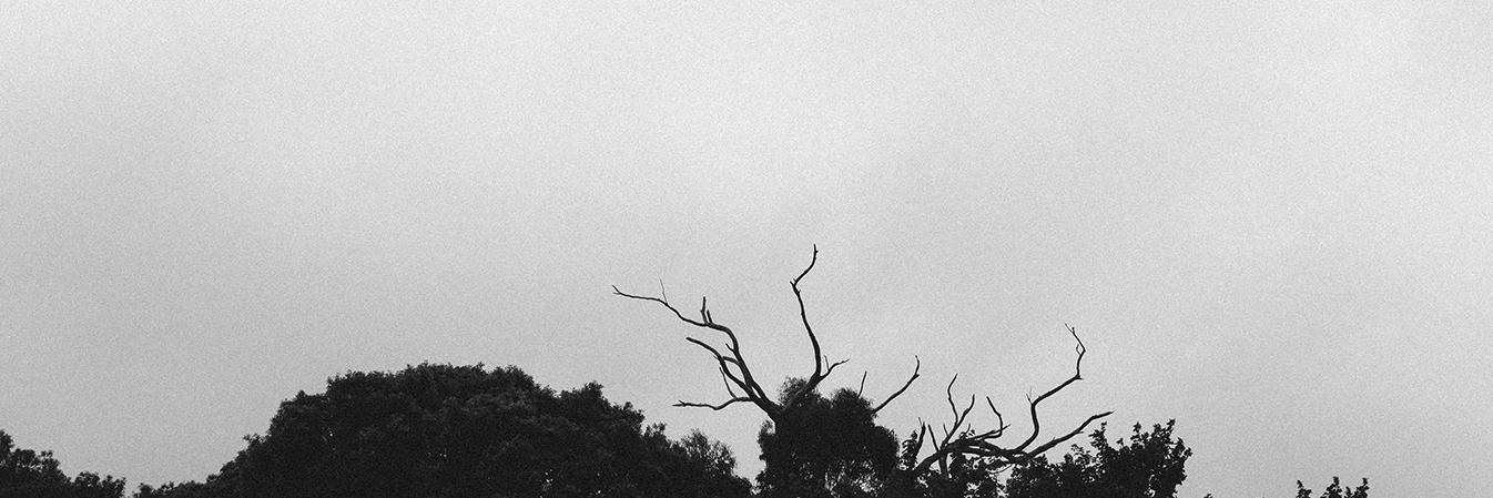 Robert_Olaf's profile banner image