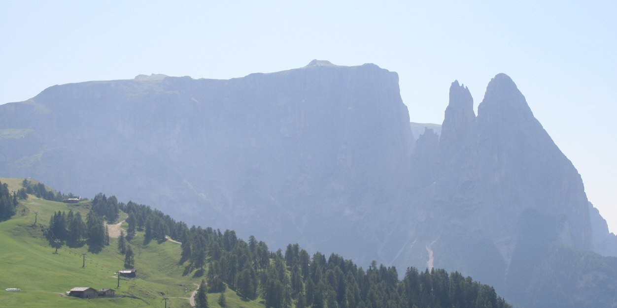 taytervoort's profile banner image