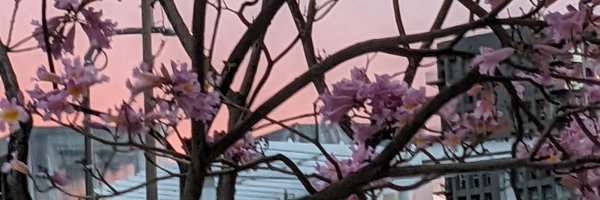 AndrewBerardini Profile Banner