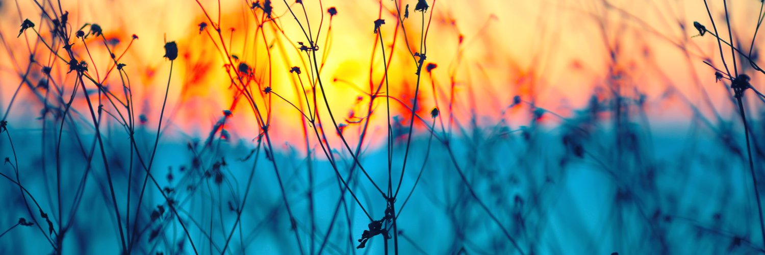 noraseda's profile banner image