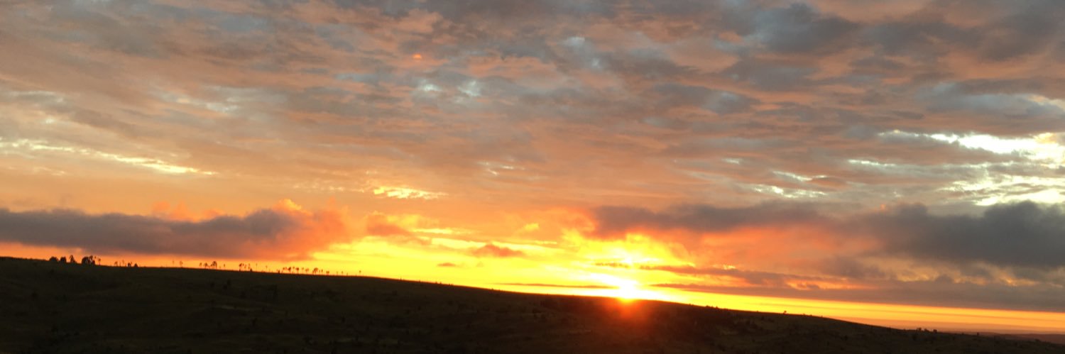 soleklinger's profile banner image