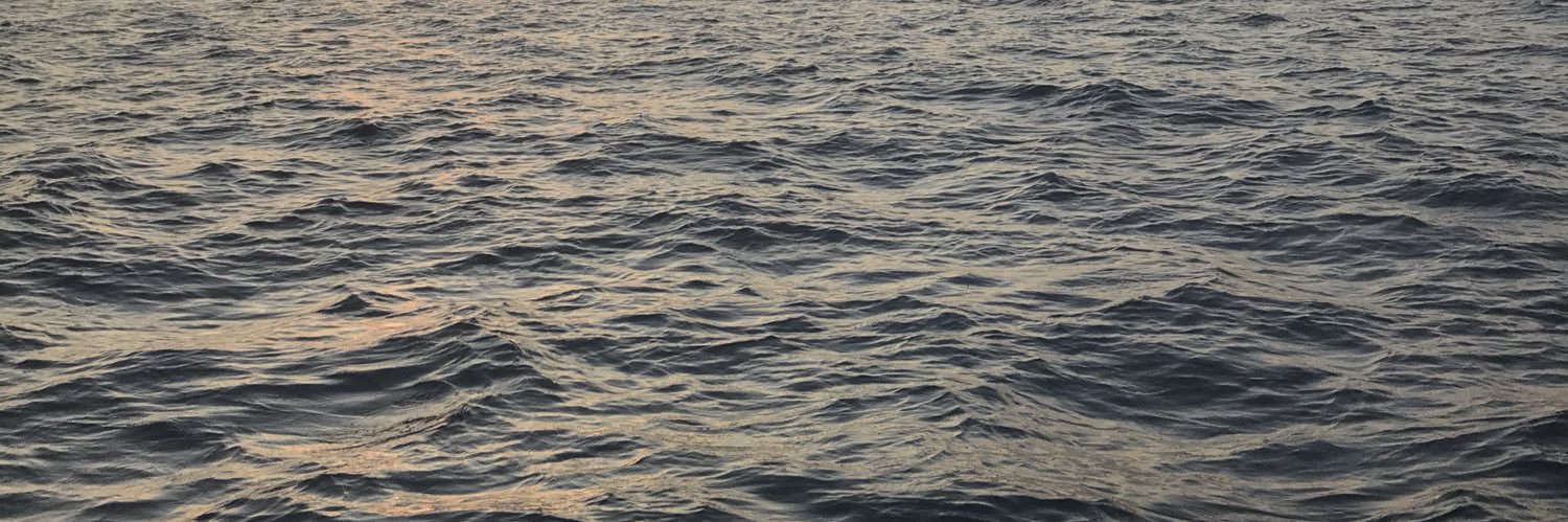 RouleauAnne's profile banner image