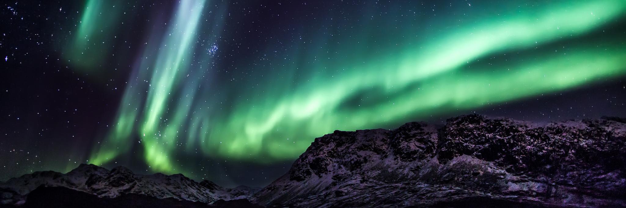 Movim Network banner