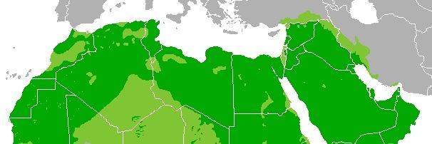 Amistad Hispano Arabe banner